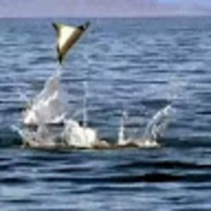 Meet your Posher, Ibrahim